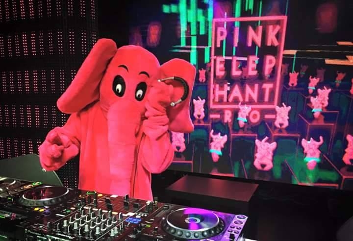 PINK ELEPHANT - RIO